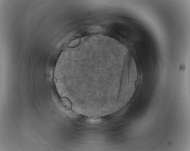 X0000112730767200910011157