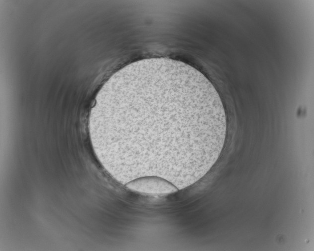 X0000112730768200910011157