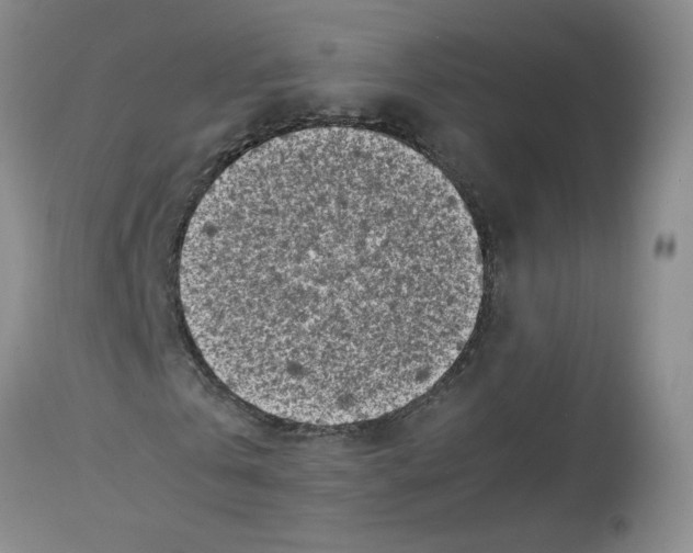X0000112730769200910011156