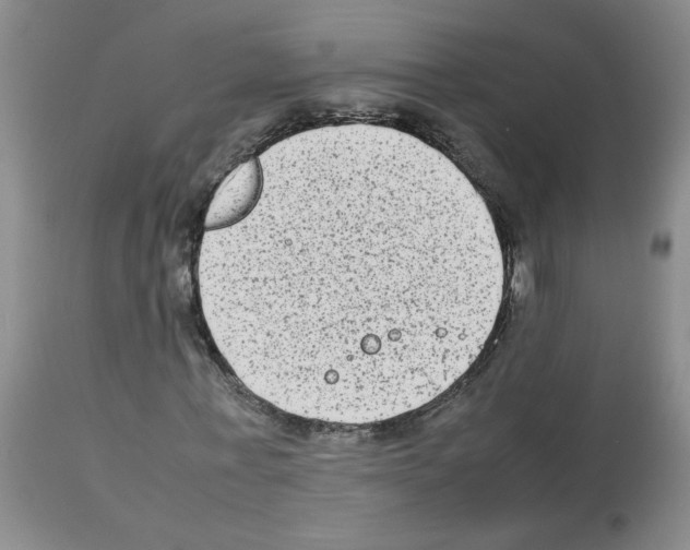X0000112730771200910011156