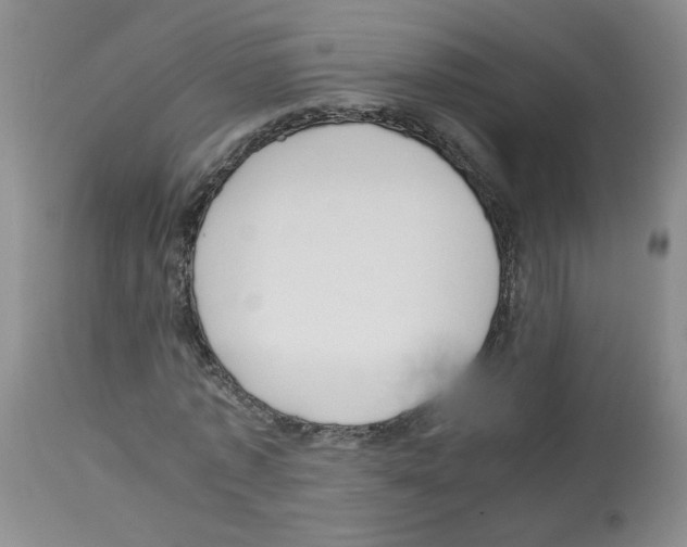 X0000112730773200910011156