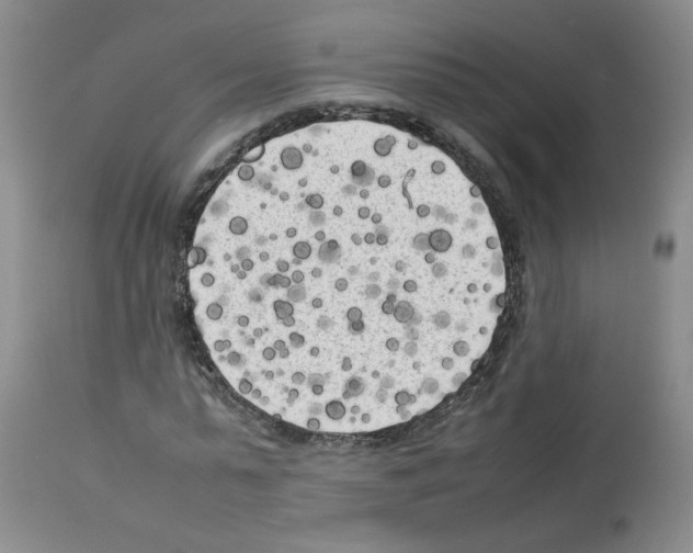 X0000112730775200910011156