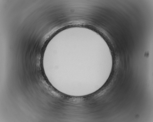 X0000112730778200910011156