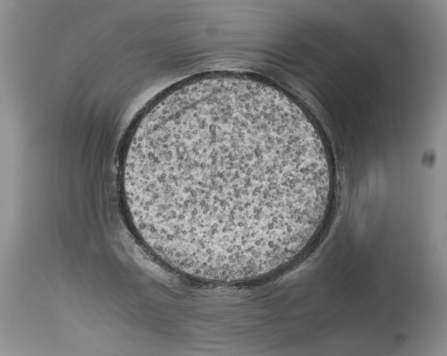 X0000112730779200910011156