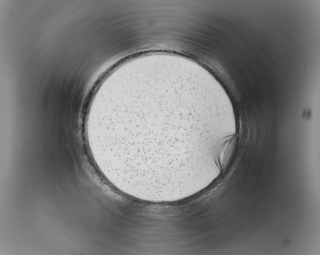X0000112730780200910011156