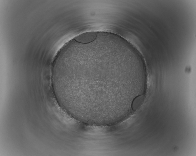 X0000112730781200910011156