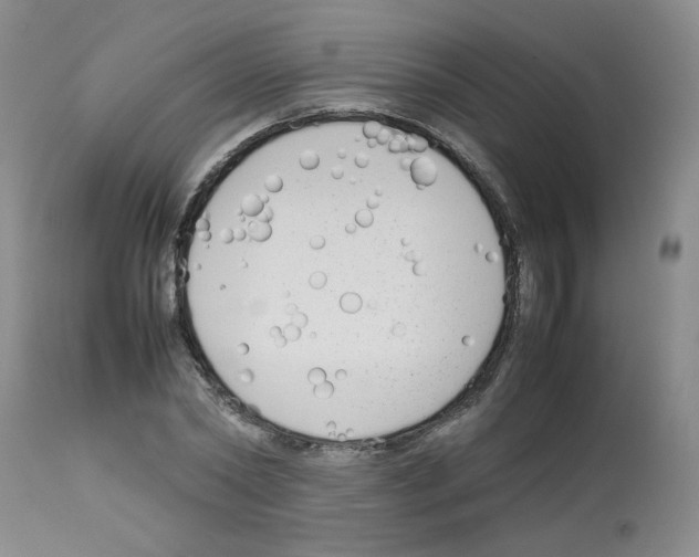 X0000112730782200910011156