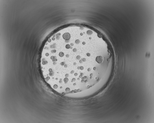 X0000112730783200910011156