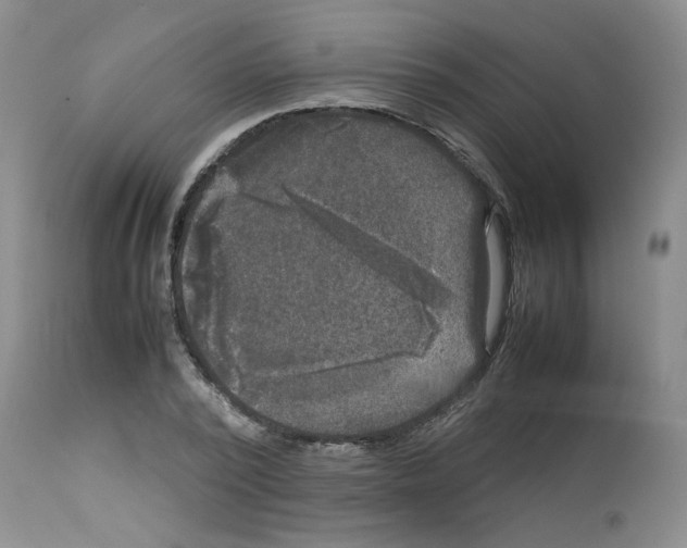 X0000112730784200910011156