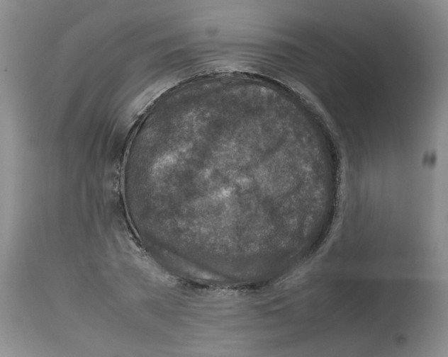 X0000112730785200910011156