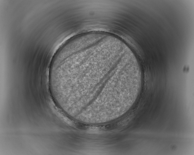 X0000112730790200910011156