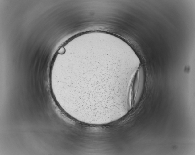 X0000112730792200910011156
