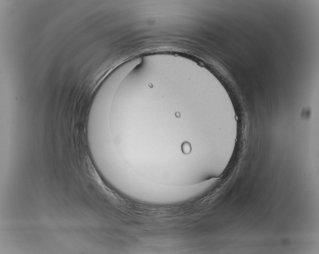 X0000112730793200910011156