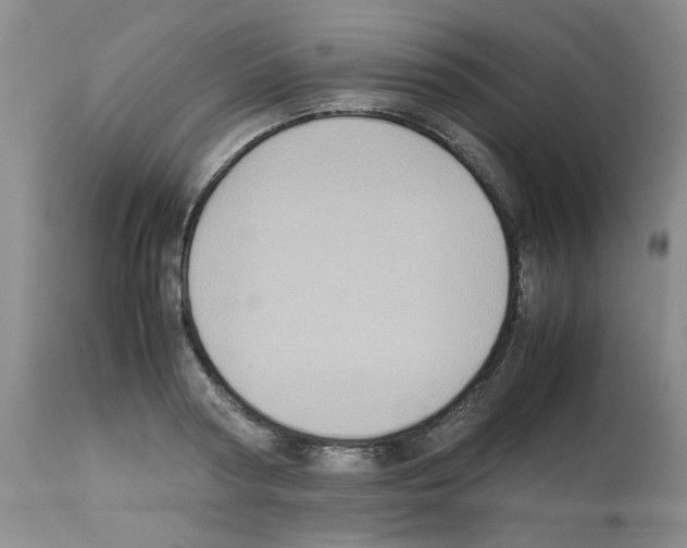X0000112730794200910011156