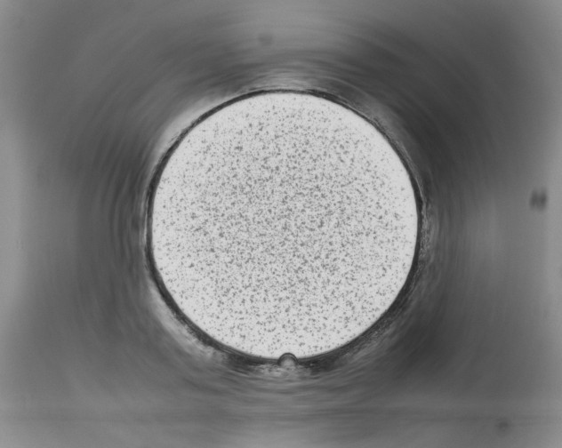 X0000112730795200910011156