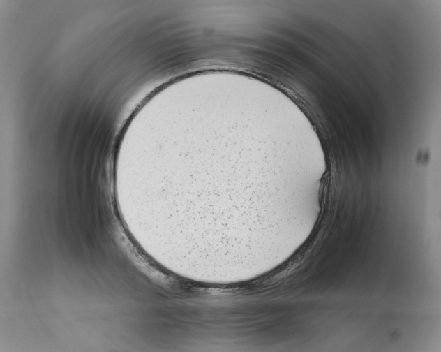X0000112730796200910011155