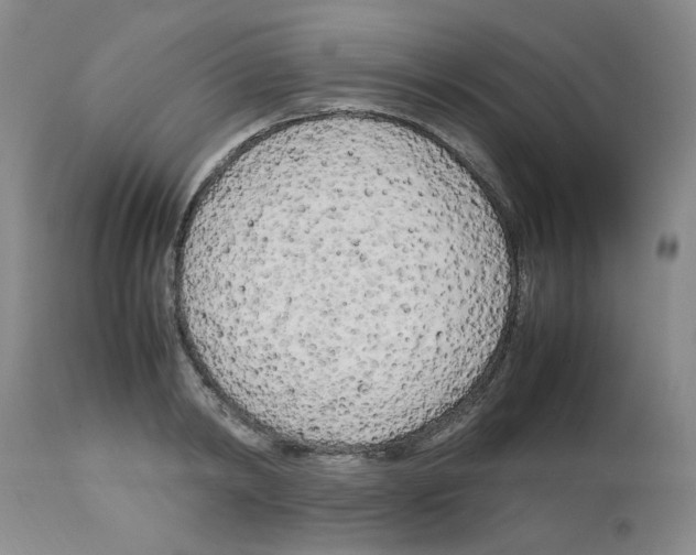X0000112730798200910011155