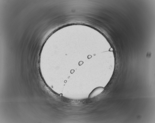 X0000112730799200910011155