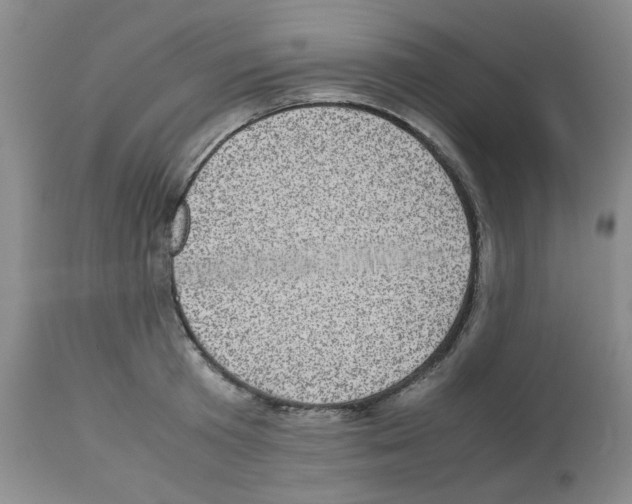 X0000112730801200910011155