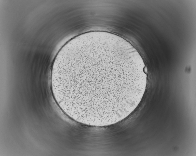 X0000112730804200910011155