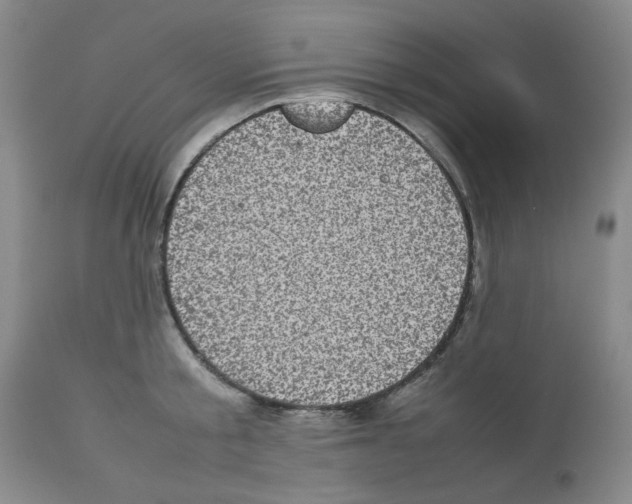 X0000112730805200910011155
