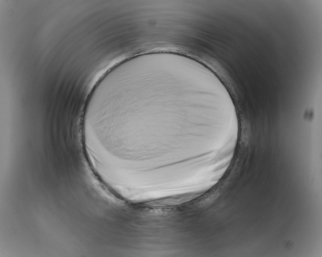 X0000112730806200910011155