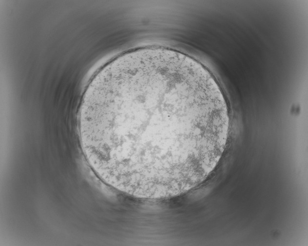 X0000112730807200910011155