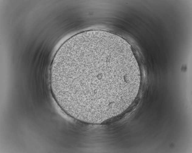X0000112730808200910011155