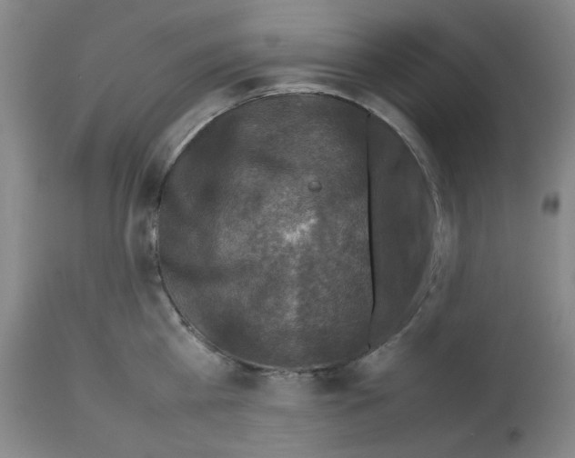 X0000112730809200910011155