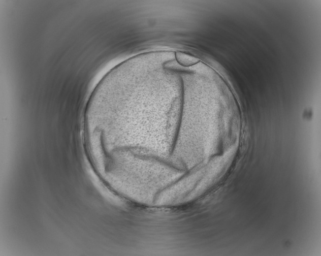 X0000112730811200910011155