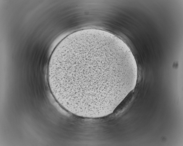 X0000112730812200910011155
