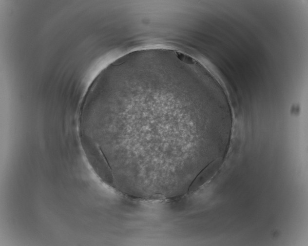 X0000112730813200910011155