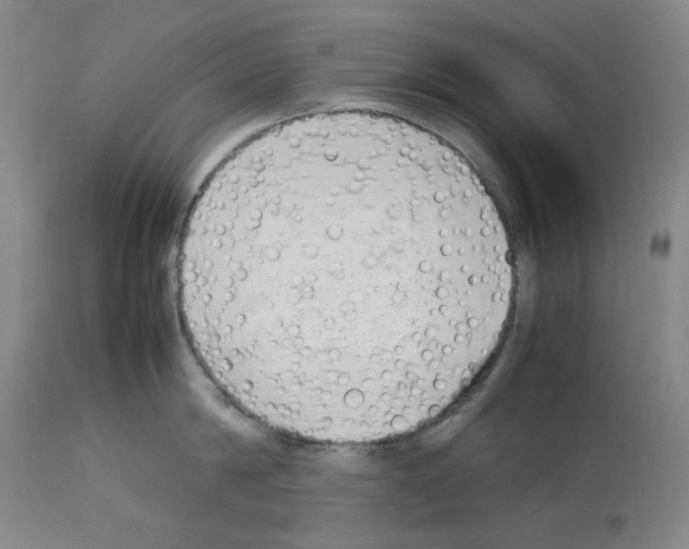 X0000112730814200910011155