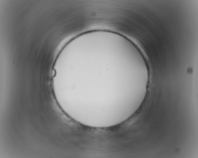 X0000112730815200910011155
