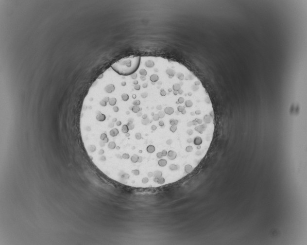 X0000112730817200910011154