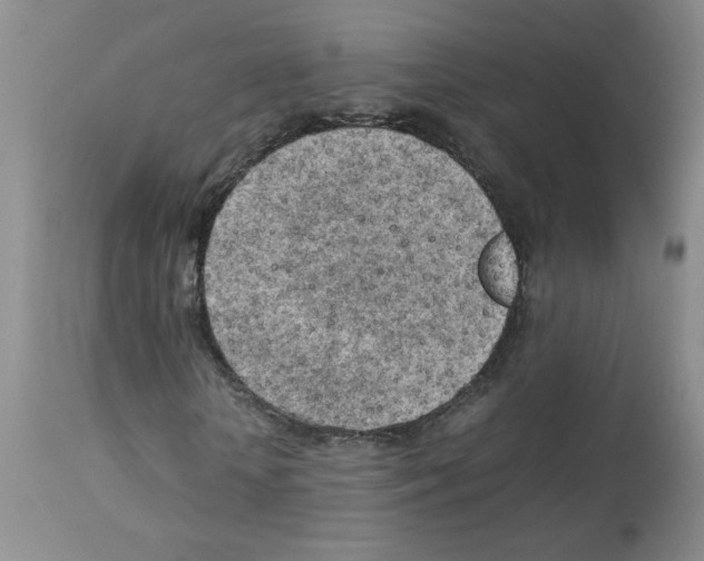 X0000112730818200910011154