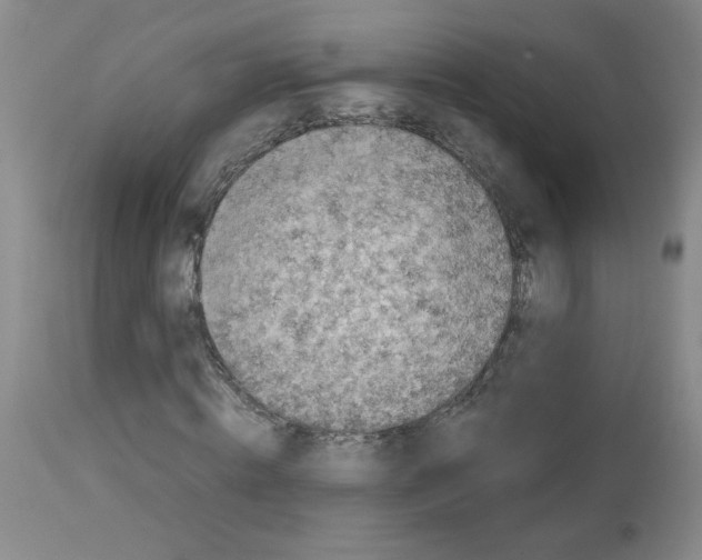 X0000112730820200910011154