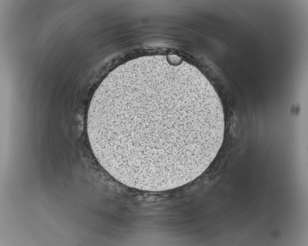 X0000112730821200910011154
