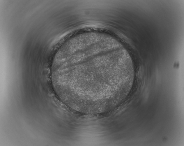 X0000112730822200910011154