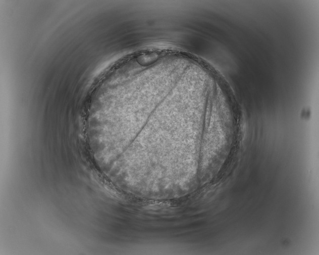X0000112730823200910011154