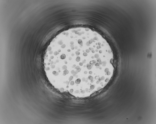 X0000112730825200910011154