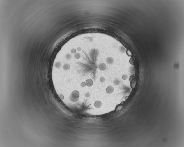 X0000112730826200910011154