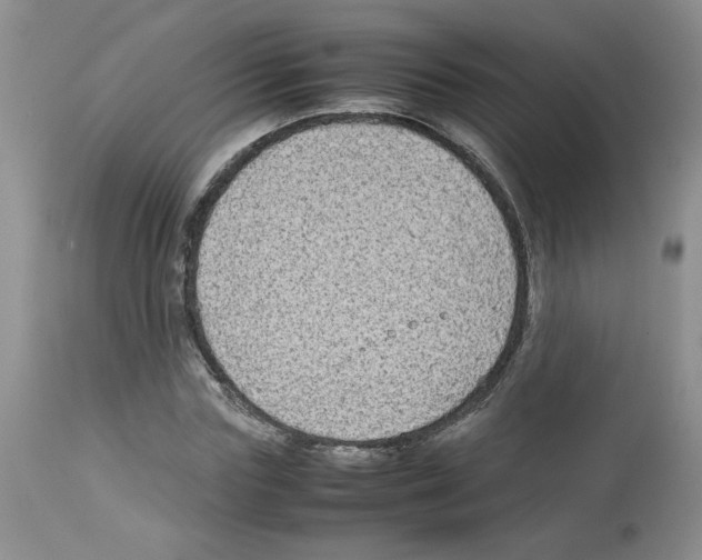 X0000112730827200910011154
