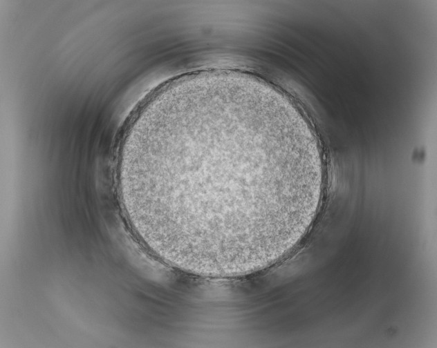 X0000112730828200910011154
