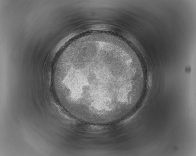 X0000112730829200910011155