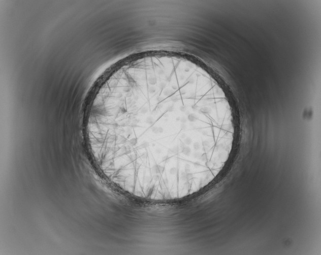 X0000112730830200910011155