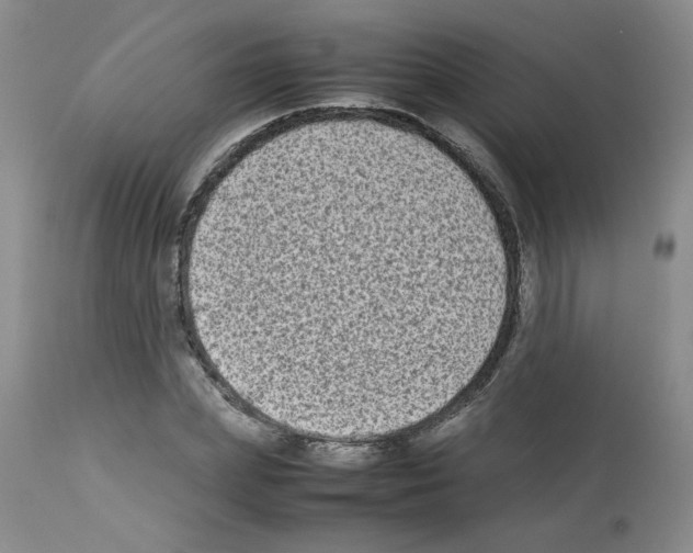 X0000112730831200910011155