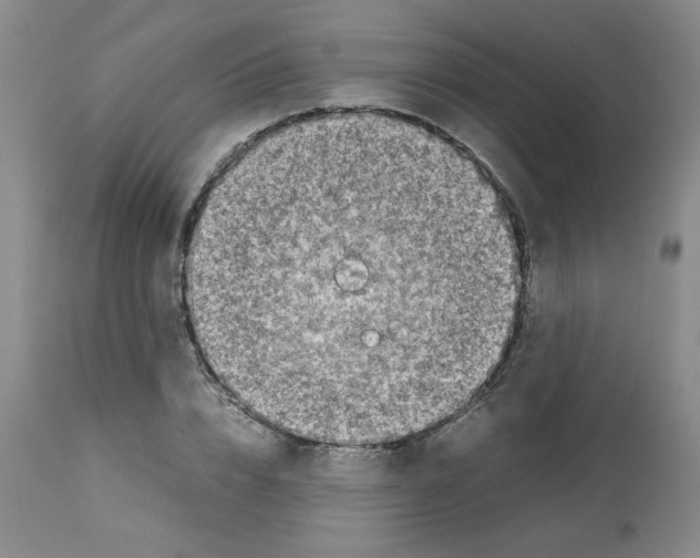 X0000112730832200910011155