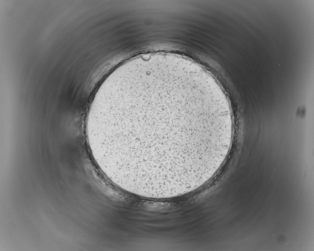 X0000112730833200910011155