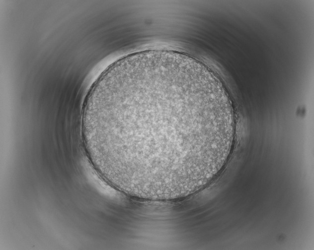 X0000112730836200910011155